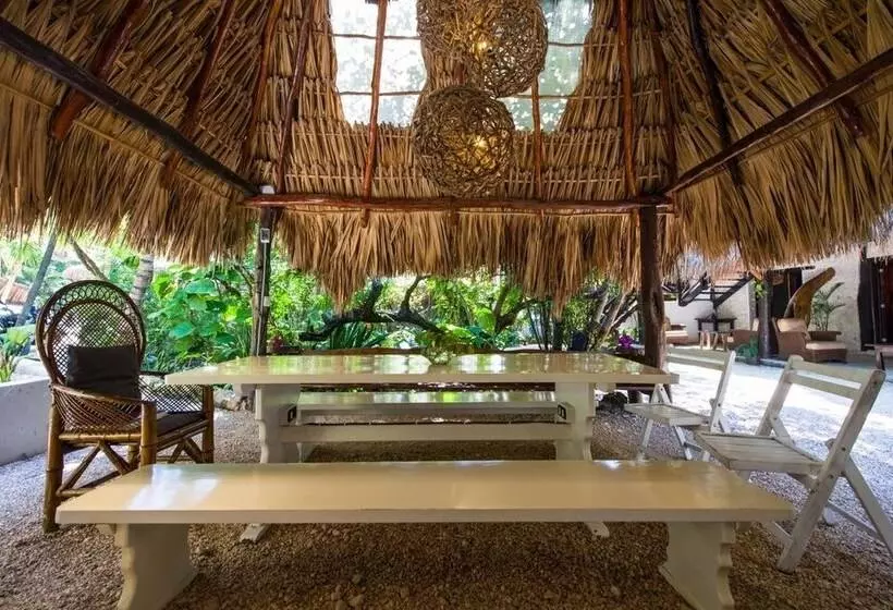 Fotos del hotel Yoga Shala Tulum:  15