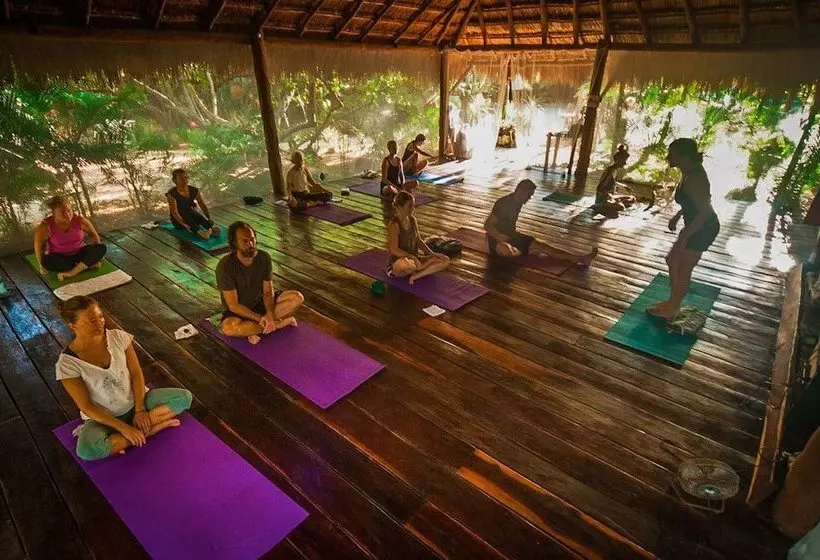 Fotos del hotel Yoga Shala Tulum:  17