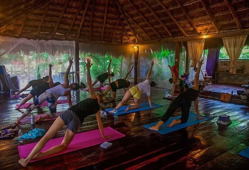 Fotos del hotel Yoga Shala Tulum:  13