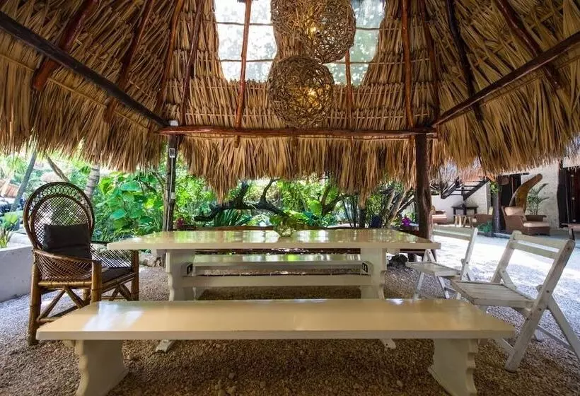 Fotos del hotel Yoga Shala Tulum:  10