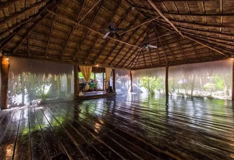 Fotos del hotel Yoga Shala Tulum:  4