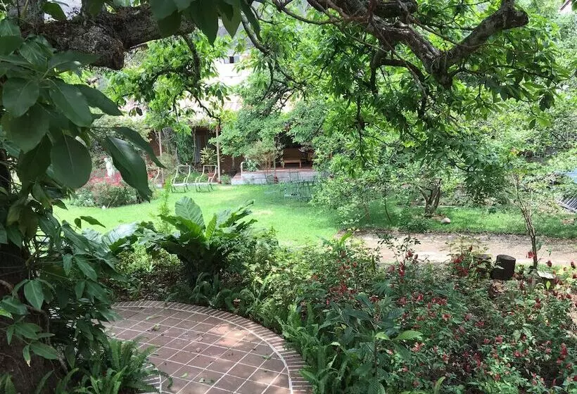 Fotos del hotel Grand  Panajachel:  9