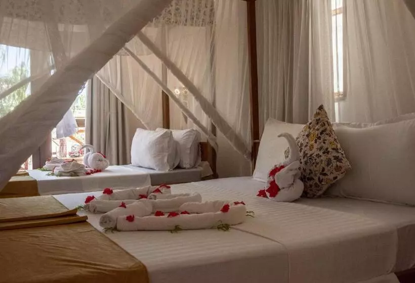 Fotos del hotel Nungwi Garden Boutique:  2