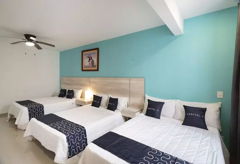 Fotos del hotel Punta Esmeralda:  2