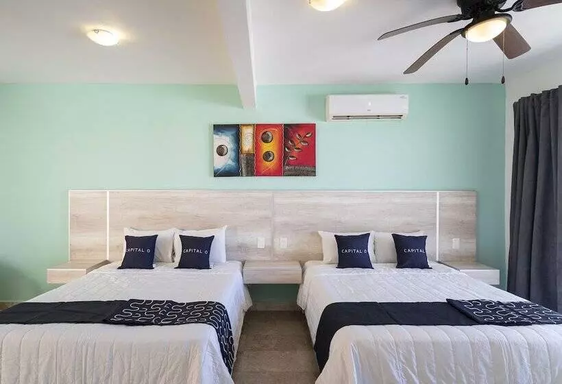Fotos del hotel Punta Esmeralda:  23