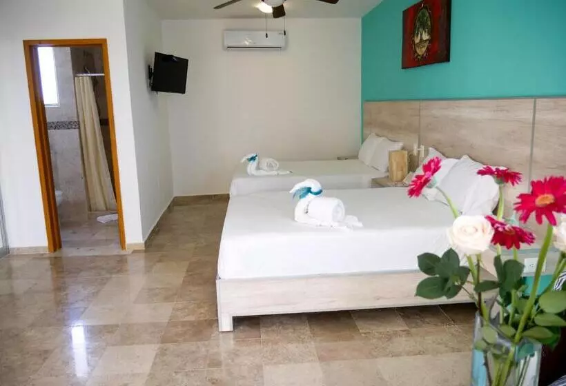 Fotos del hotel Punta Esmeralda:  20