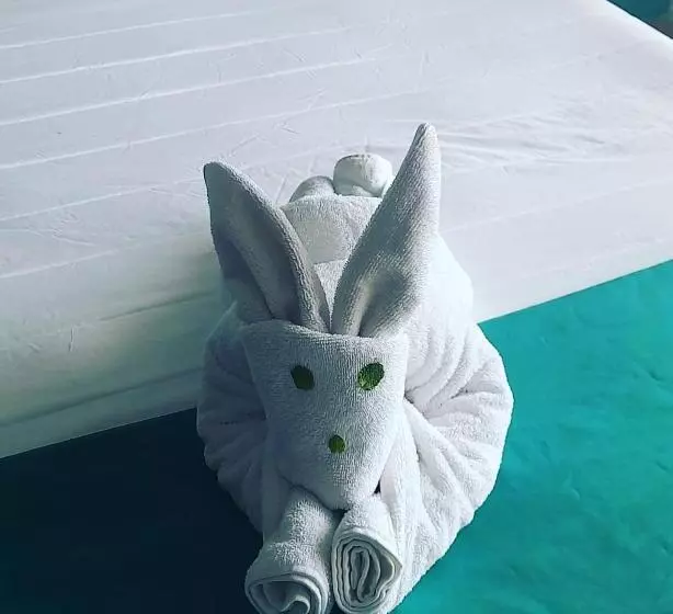 Fotos del hotel Punta Esmeralda:  10