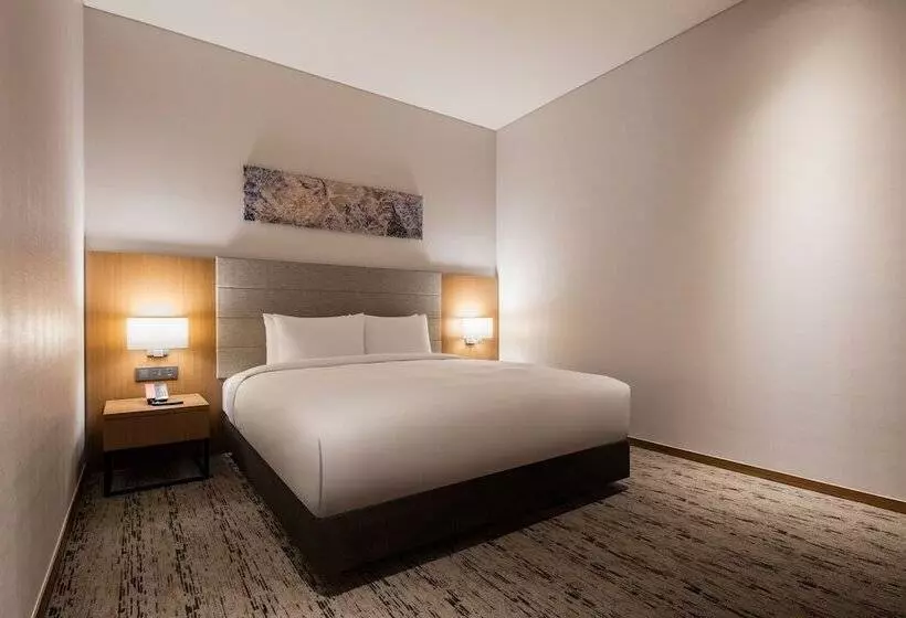 Fotos del hotel Ramada By Wyndham Seoul Sindorim:  8