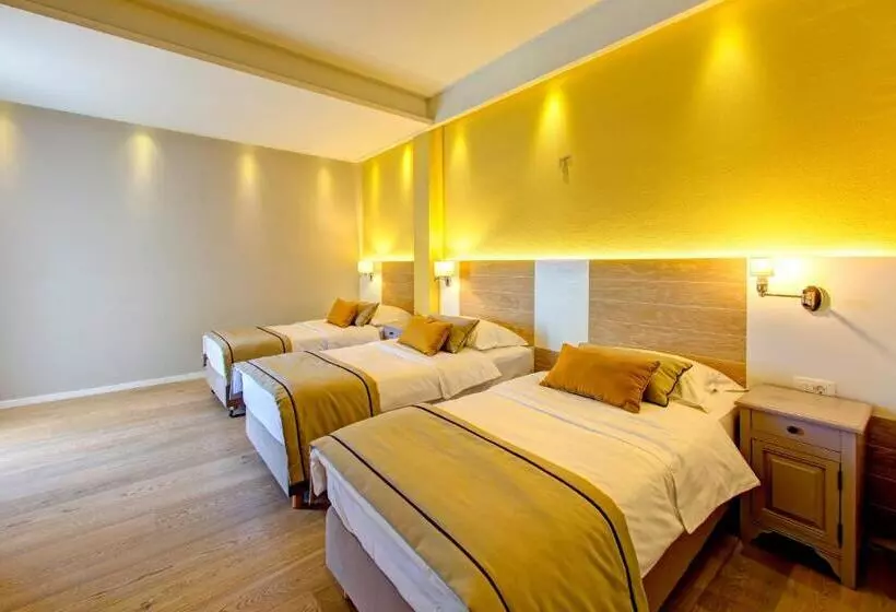 Fotos del hotel Villa Regina:  3