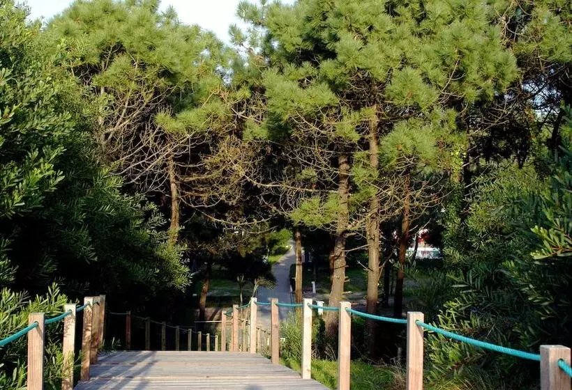 Fotos del hotel Parque De Campismo Orbitur Viana Do Castelo:  25