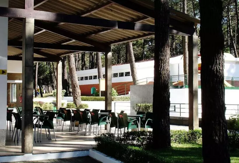 Fotos del hotel Parque De Campismo Orbitur Viana Do Castelo:  7
