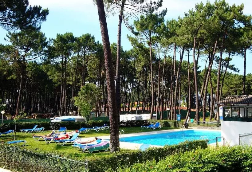 Fotos del hotel Parque De Campismo Orbitur Viana Do Castelo:  11