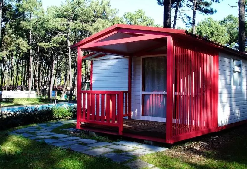 Fotos del hotel Parque De Campismo Orbitur Viana Do Castelo:  12