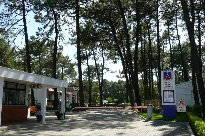 Fotos del hotel Parque De Campismo Orbitur Viana Do Castelo:  15
