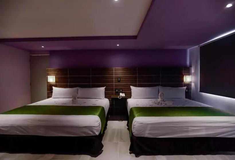 Fotos del hotel Kavia:  20