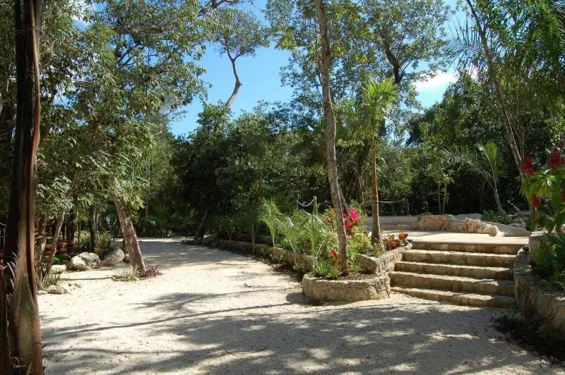 Fotos del hotel Reserva Ecologica Hacienda Cancun:  13