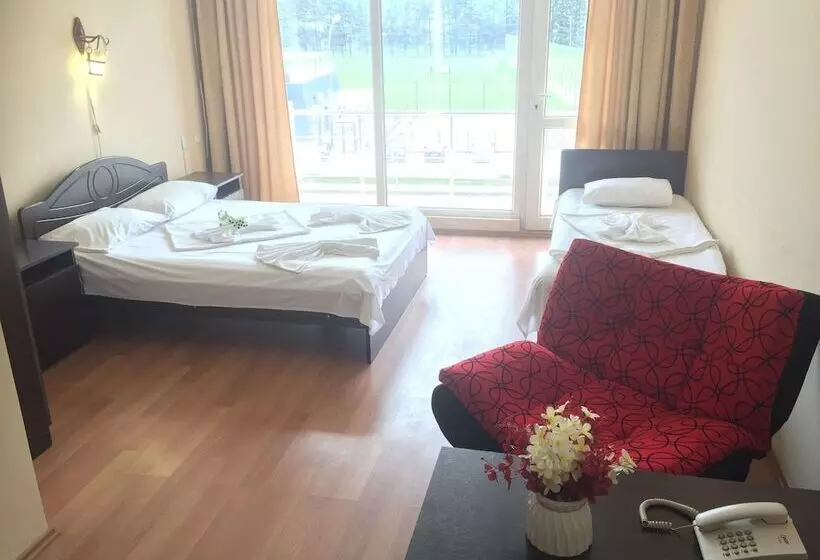 Fotos del hotel Eleganti:  6