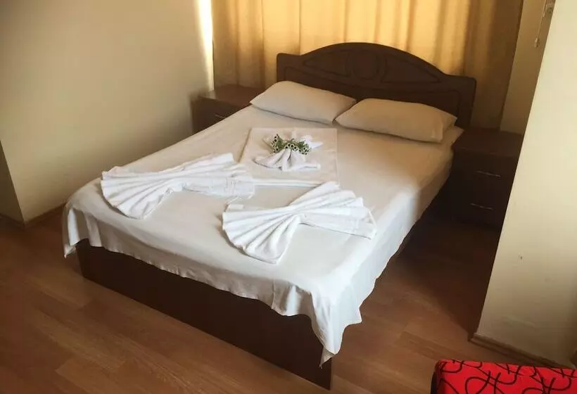Fotos del hotel Eleganti:  11