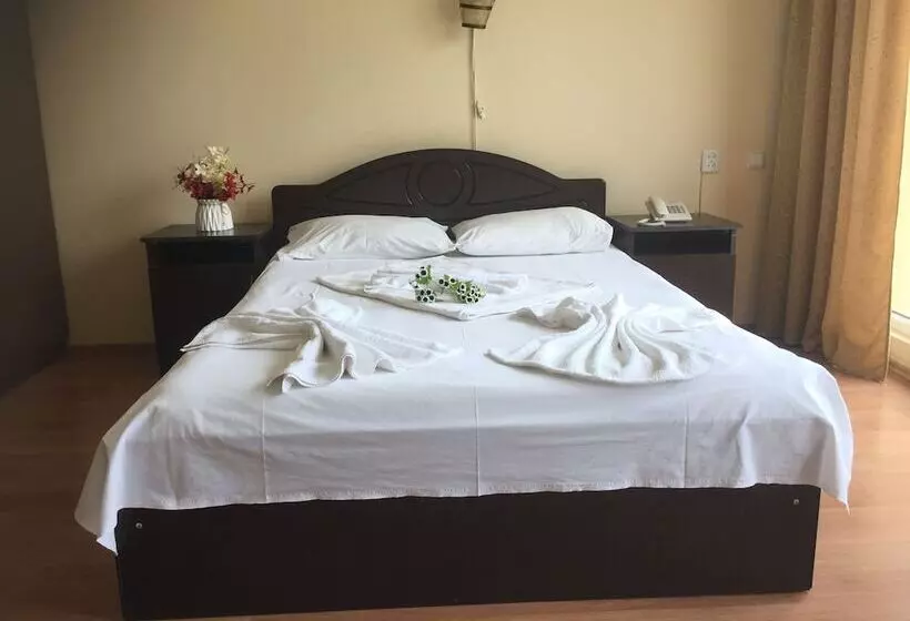 Fotos del hotel Eleganti:  15