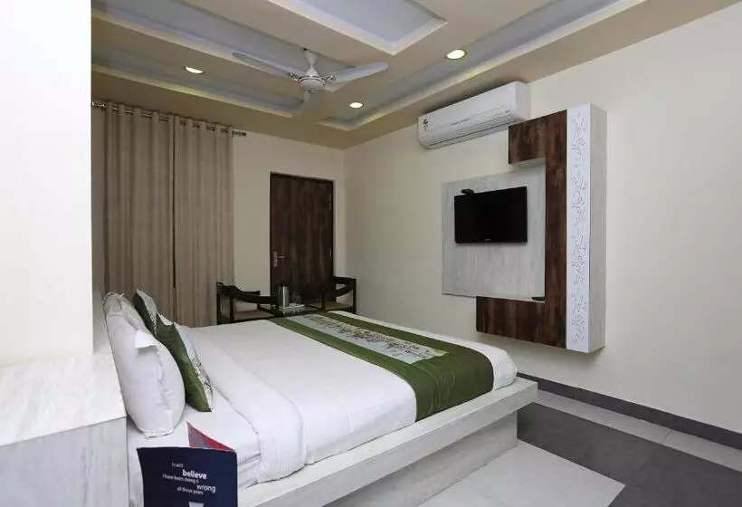 Fotos del hotel Collection O 9204  Anant Palace:  24