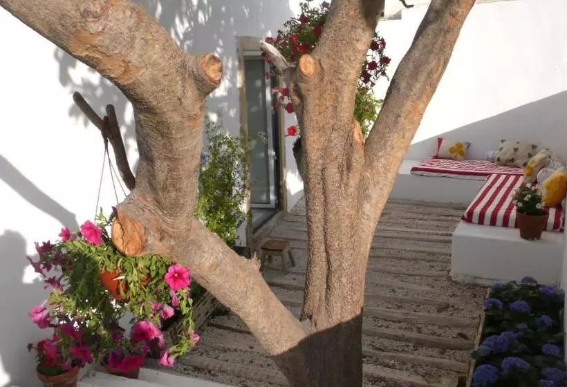Fotos del hotel Oliveirinha:  4