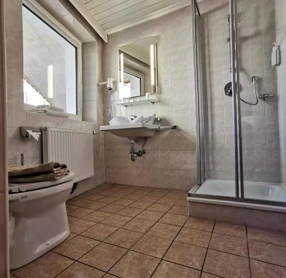 Fotos del hotel Pension Haus In Der Sonne:  4