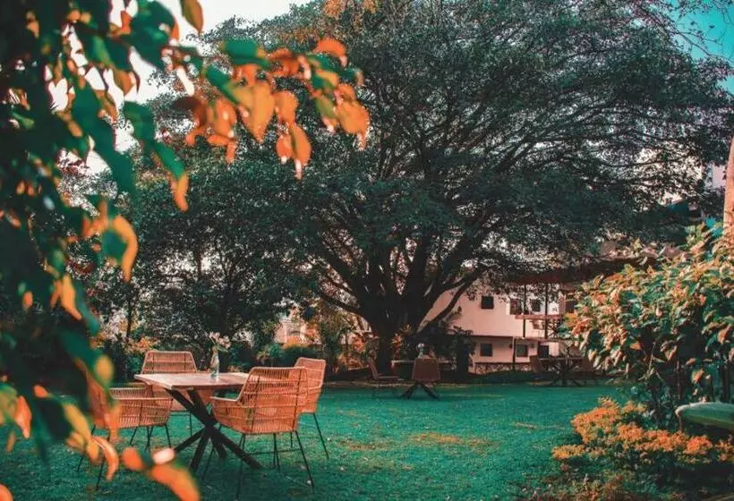 Fotos del hotel Amate:  24