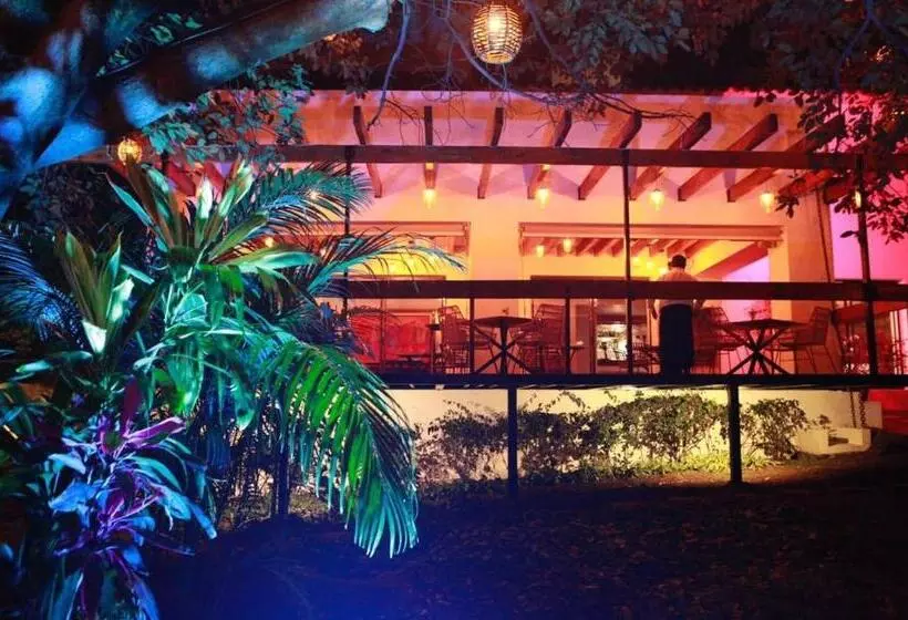 Fotos del hotel Amate:  25