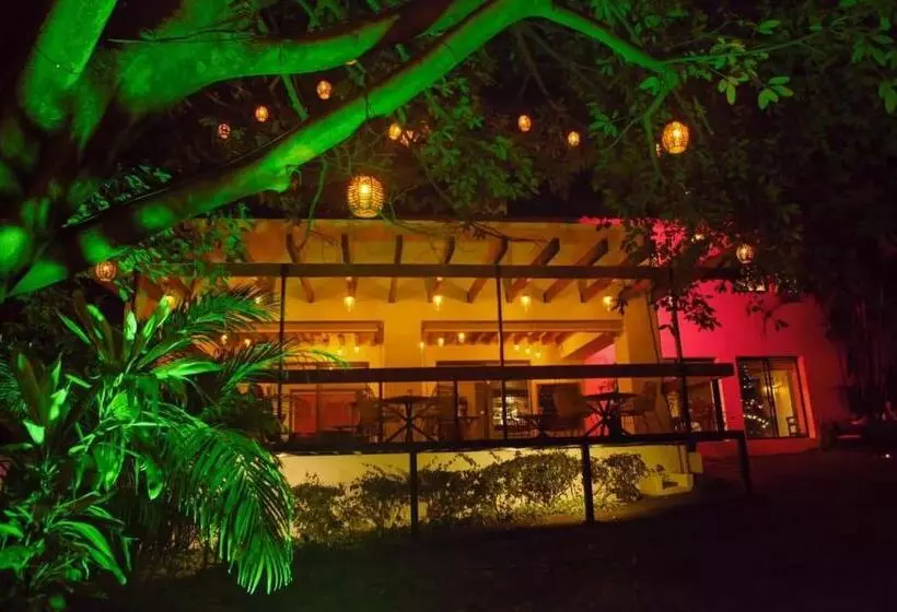 Fotos del hotel Amate:  20
