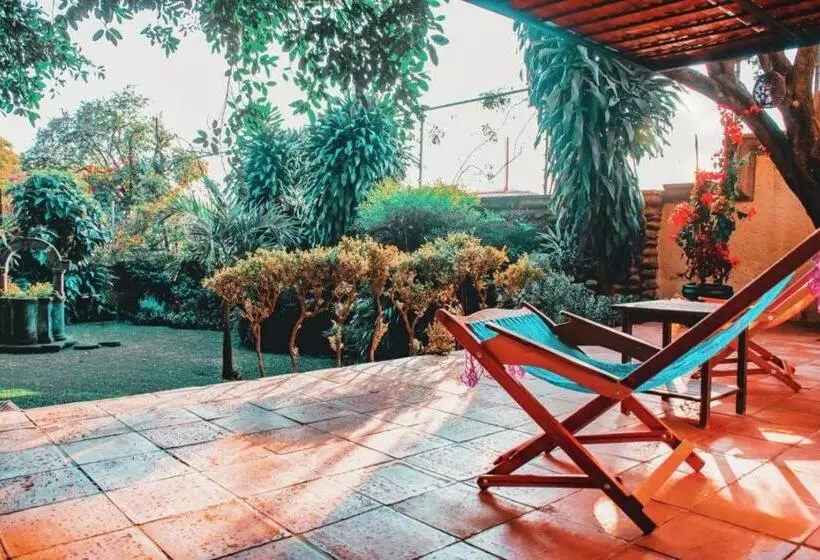 Fotos del hotel Amate:  14