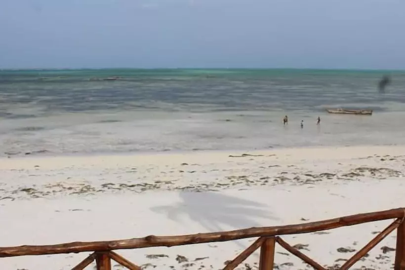 Fotos del hotel Nyamkwi White Sands:  5