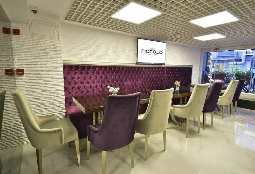 Fotos del hotel Piccolo Hotel Istanbul:  12
