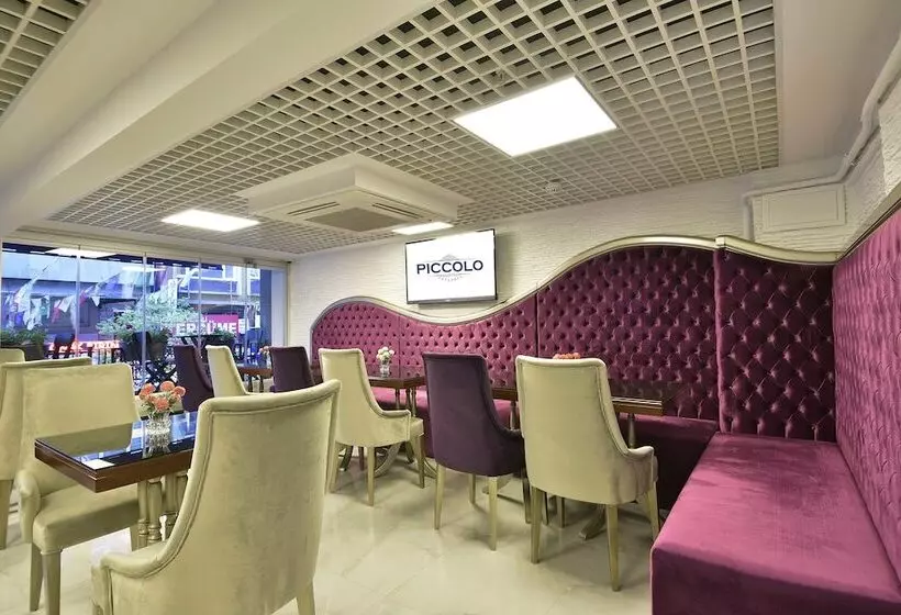 Fotos del hotel Piccolo Hotel Istanbul:  16