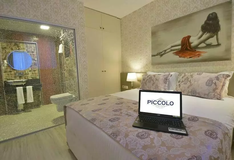 Fotos del hotel Piccolo Hotel Istanbul:  15