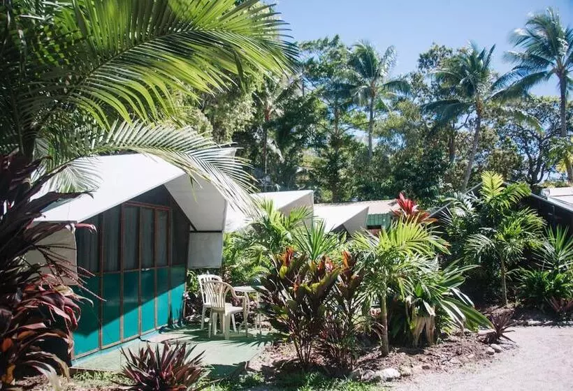 Fotos del hotel Dougies Backpackers Resort:  9