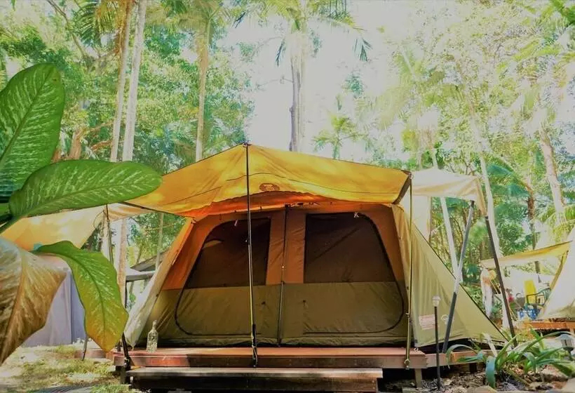 Fotos del hotel Dougies Backpackers Resort:  13
