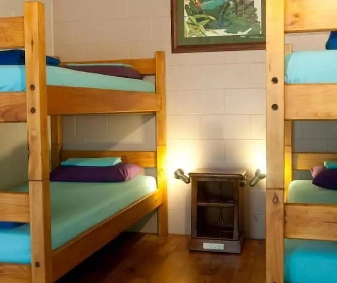 Fotos del hotel Dougies Backpackers Resort:  10