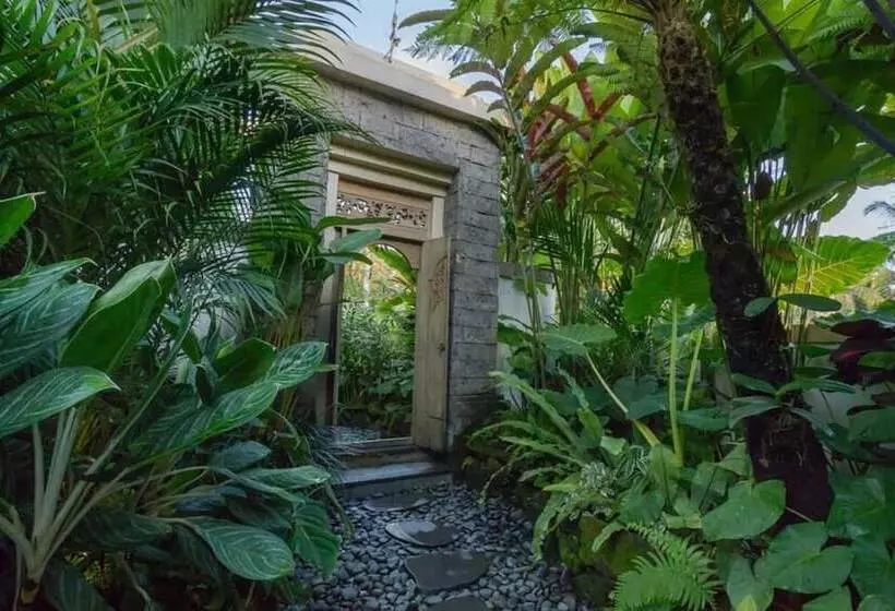 Fotos del hotel Jani S Place Cottage:  14
