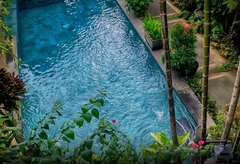 Fotos del hotel Rumah Roda:  9
