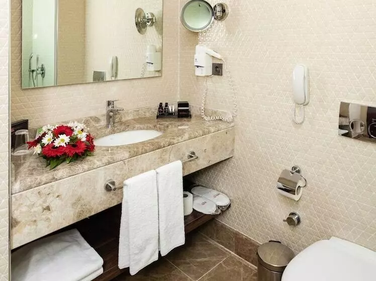 Fotos del hotel Grand Makel  Topkapi:  8