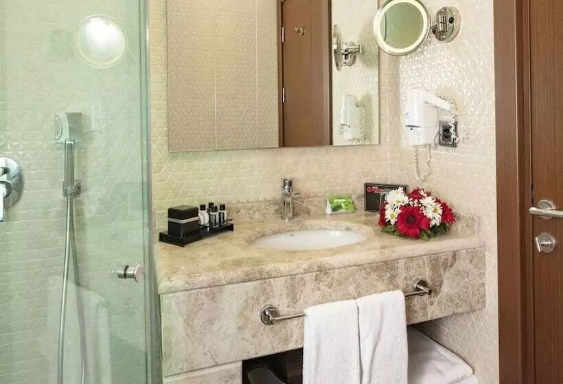 Fotos del hotel Grand Makel  Topkapi:  13