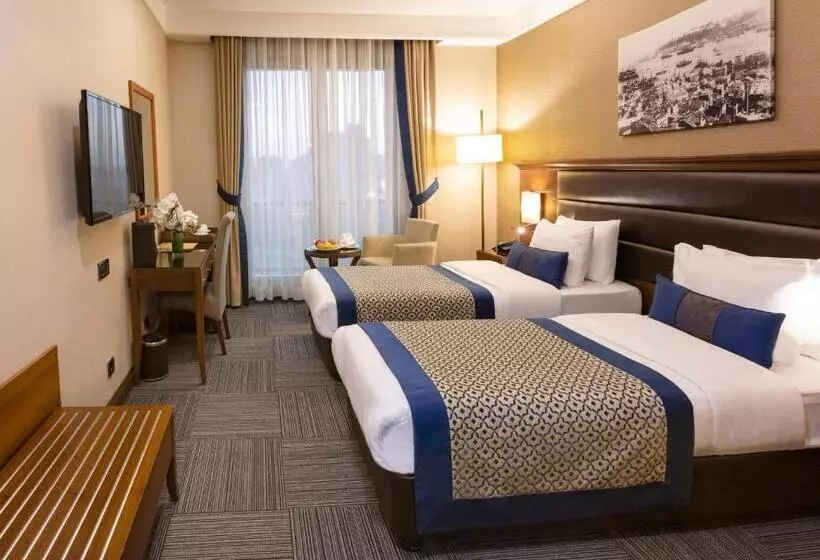 Fotos del hotel Grand Makel  Topkapi:  2