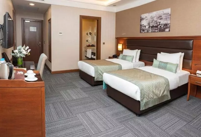 Fotos del hotel Grand Makel  Topkapi:  18