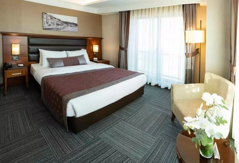 Fotos del hotel Grand Makel  Topkapi:  14
