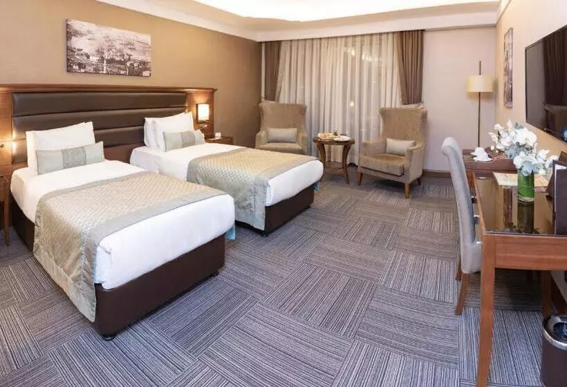 Fotos del hotel Grand Makel  Topkapi:  10