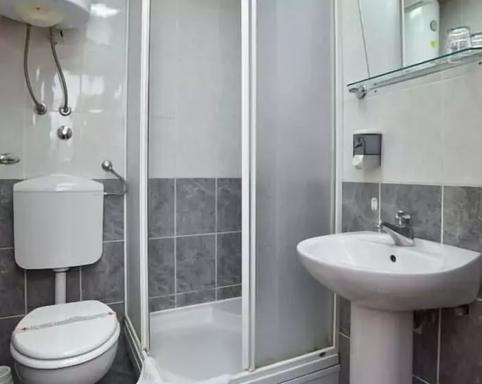Fotos del hotel Mena:  5