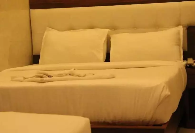 Fotos del hotel Palace Reisdency:  2