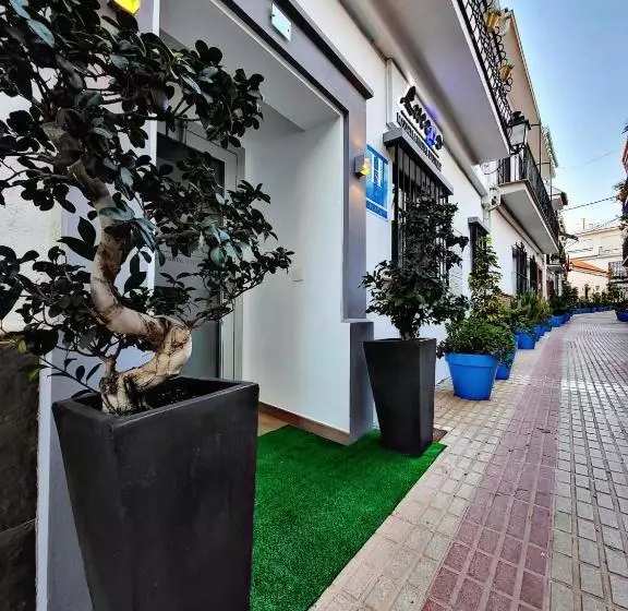 Fotos del hotel Lucero 12 Marbella Hostal Boutique:  15