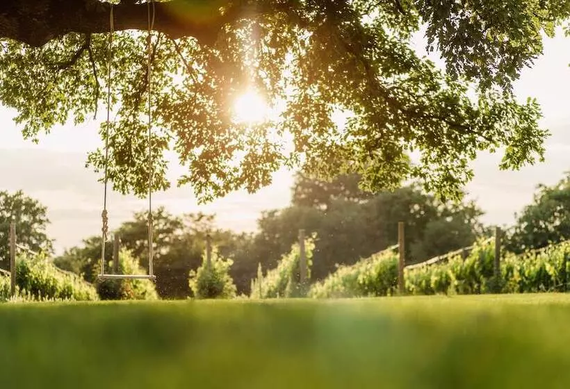 Fotos del hotel Meneghetti Wine  And Winery  Relais & Chateaux:  15