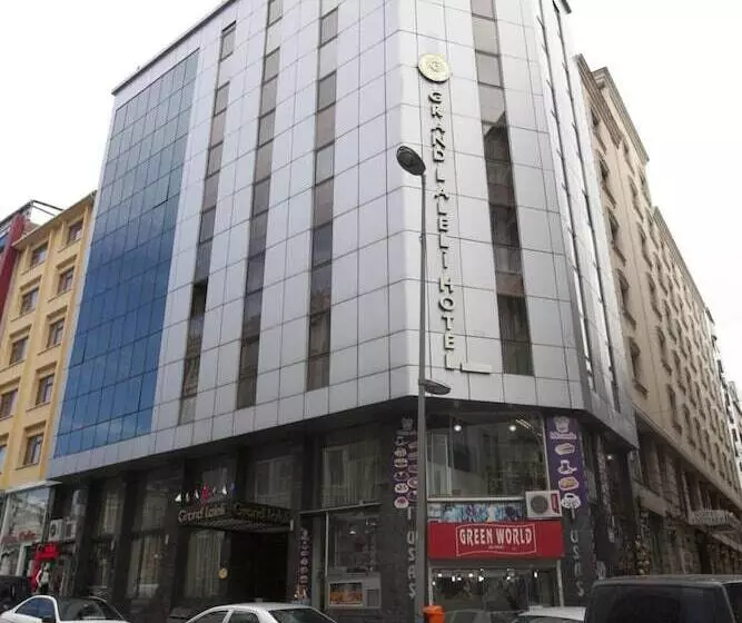 Fotos del hotel Grand Laleli:  4